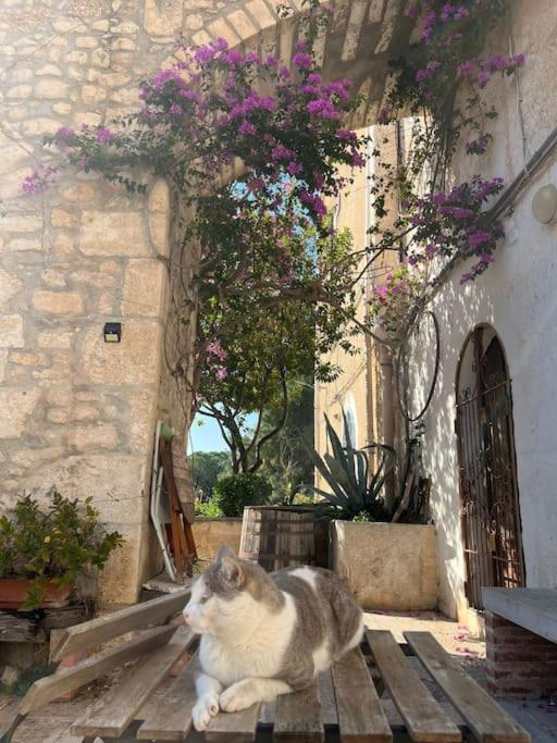 Casa Masseria Dell'800 Gargano. Le Mignole มอนเต ซานตานเจโล ภายนอก รูปภาพ